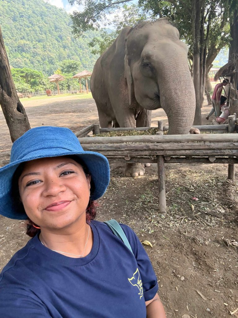 ETHICAL ELEPHANT SANCTUARY ELEPHANT NATURE PARK CHIANG MAI